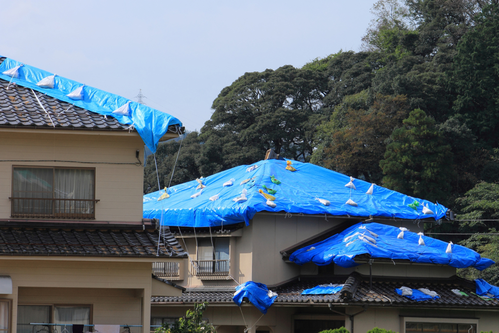 台風の傷跡であるブルーシートのかぶせた屋根